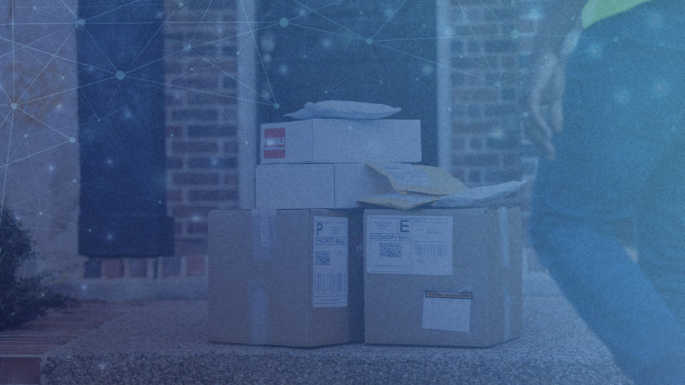Consumer Pulse | Time for a Haul? Amazon’s Bold Move to Win Budget Shoppers | January 2, 2025