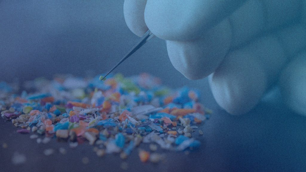 Consumers Are Reconsidering Plastic—Here’s the Proof